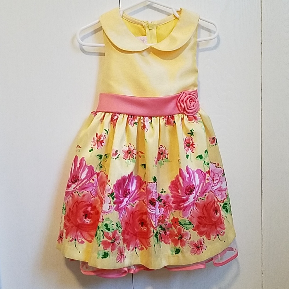 NWT toddler dress